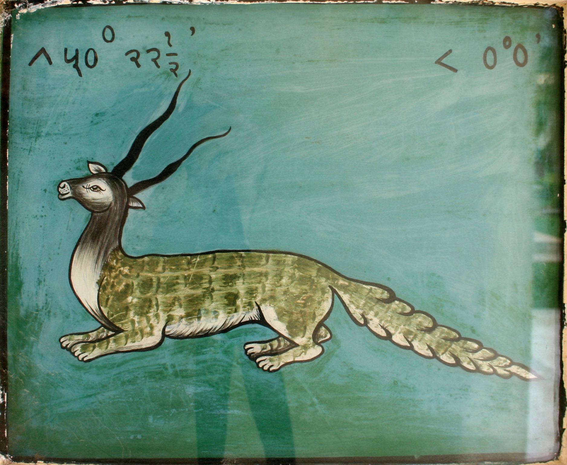 Capricorn zodiac sign at Jantar Mantar for horoscope news
