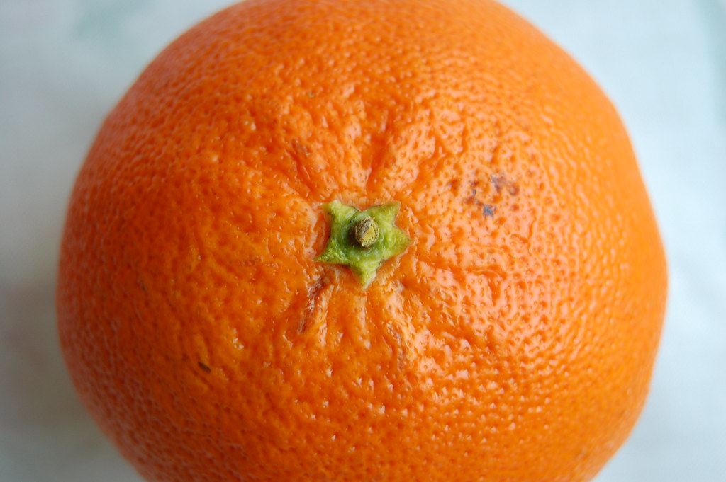 Fruit representative photo for healthy diet guidance report