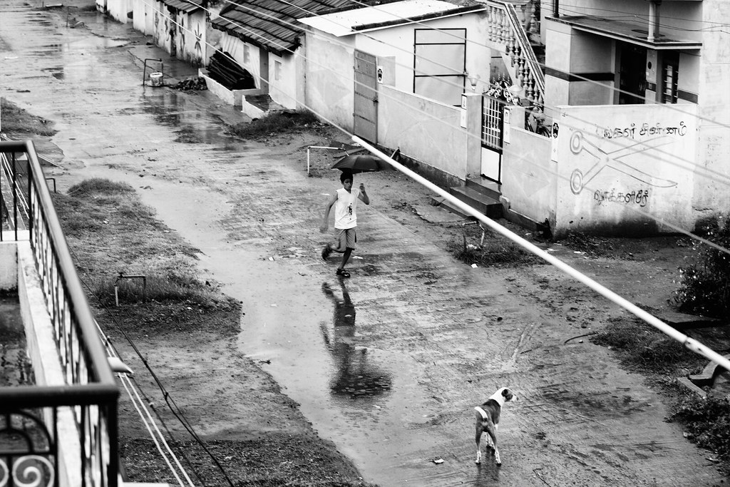 People running in rain representative image for viral monsoon street safety news