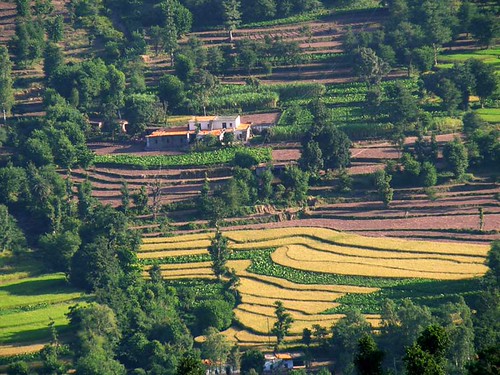 Dry farm representative photo for Vidarbha rain deficit report