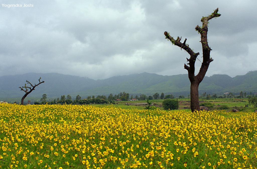 Monsoon travel representative photo for weekend travel weather report