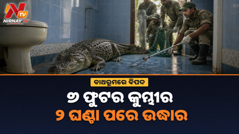 ଗୁଜରାଟରେ ଘର ବାଥରୁମରୁ ମିଳିଲା ୭ ଫୁଟର କୁମ୍ଭୀର, ଘଣ୍ଟାଏ ପରେ ସୁରକ୍ଷିତ ଉଦ୍ଧାର