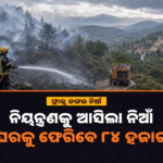 ନିୟନ୍ତ୍ରଣକୁ ଆସିଲା ଫ୍ରାନ୍ସର ଭୟଙ୍କର ଜଙ୍ଗଲ ନିଆଁ, ଘରକୁ ଫେରିବେ ୮୪ ହଜାର ଲୋକ