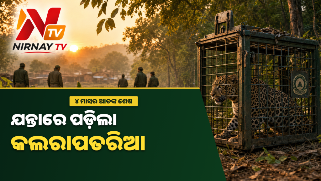 ମଧ୍ୟପ୍ରଦେଶ ଖଣ୍ଡୱାରେ ଯନ୍ତାରେ ଧରାପଡ଼ିଥିବା କଲରାପତରିଆ ସମ୍ପର୍କିତ ନିର୍ଣ୍ଣୟ ଟିଭି ଥମ୍ବନେଲ