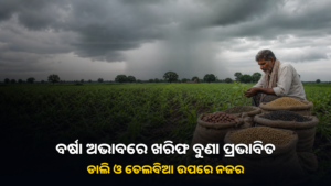 ବର୍ଷା ମେଘ ତଳେ ଖରିଫ କ୍ଷେତରେ ଚାଷୀ
