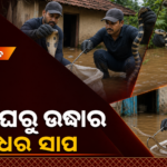 ବନ୍ୟା ପ୍ରଭାବିତ ଘରୁ ଉଦ୍ଧାର ହେଲେ ୩ ବିଷଧର ସାପ, ଫେରୁଥିବା ଲୋକଙ୍କୁ ସତର୍କତା