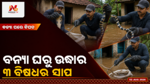 ବନ୍ୟା ପ୍ରଭାବିତ ଘରୁ ଉଦ୍ଧାର ହେଲେ ୩ ବିଷଧର ସାପ, ଫେରୁଥିବା ଲୋକଙ୍କୁ ସତର୍କତା