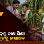 ଅନଲାଇନ୍‌ରୁ ଶିଖି ଡ୍ରାଗନ୍ ଫ୍ରୁଟ୍ ଚାଷ, ଲକ୍ଷାଧିକ ଆୟ କରୁଛନ୍ତି ଓଡ଼ିଆ ଭାଇଭଉଣୀ
