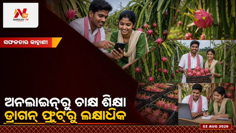 ଅନଲାଇନ୍‌ରୁ ଶିଖି ଡ୍ରାଗନ୍ ଫ୍ରୁଟ୍ ଚାଷ, ଲକ୍ଷାଧିକ ଆୟ କରୁଛନ୍ତି ଓଡ଼ିଆ ଭାଇଭଉଣୀ