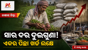 ସାର ଦର ଦୁଇଗୁଣା! — ଏକର ପିଛା ଖର୍ଚ୍ଚ ଲକ୍ଷେ | ନିର୍ଣ୍ଣୟ ଟିଭି