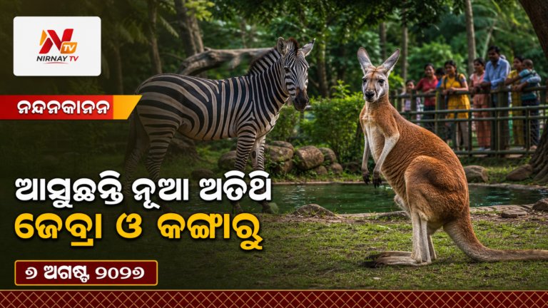 ନନ୍ଦନକାନନକୁ ଆସିବେ ଜେବ୍ରା ଓ ରେଡ୍ କଙ୍ଗାରୁ, ବଢ଼ିବ ଆଫ୍ରିକାନ୍ ସାଭାନା ଆକର୍ଷଣ