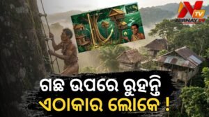 ଗଛ ଉପରେ ଘର କରି ରହୁଛନ୍ତି ଏହି ଜନଜାତିର ଲୋକେ: ଇଣ୍ଡୋନେସିଆର ‘କୋରୱାଇ’ ସମ୍ପ୍ରଦାୟର ନିଆରା ଜୀବନଶୈଳୀ