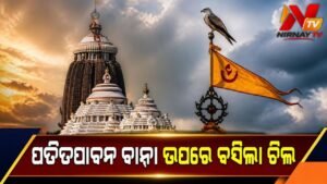 ପୁରୀ ଶ୍ରୀମନ୍ଦିର ନୀଳଚକ୍ର ପତିତପାବନ ବାନା ଉପରେ ଚିଲ ବସିବାକୁ ନେଇ ଚର୍ଚ୍ଚା: ଶୁଭ କି ଅଶୁଭ ସଙ୍କେତ?