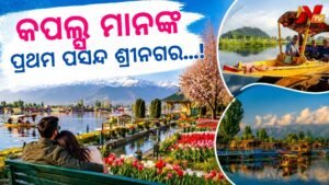 ପ୍ରେମୀ ଯୁଗଳଙ୍କ ପାଇଁ ଭୂସ୍ୱର୍ଗ ଶ୍ରୀନଗର: ପ୍ରାକୃତିକ ସୌନ୍ଦର୍ଯ୍ୟ ଏବଂ ଶାନ୍ତ ପରିବେଶର ଅନନ୍ୟ ଅନୁଭୂତି