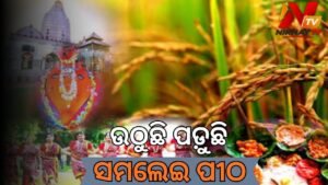 ପଶ୍ଚିମ ଓଡ଼ିଶାର କୃଷି ଭିତ୍ତିକ ଗଣପର୍ବ ନୂଆଖାଇ: ଚାରିଆଡ଼େ ଉତ୍ସବମୁଖର ପରିବେଶ
