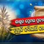 ଶରତର ଆଗମନ ଏବଂ କାଶତଣ୍ଡିର ଶୁଭ୍ର ସୌନ୍ଦର୍ଯ୍ୟ: ପ୍ରକୃତିର ଉପହାର ସାଙ୍ଗେ ଏକ ଶାଶ୍ୱତ ପ୍ରେମର ପ୍ରତୀକ