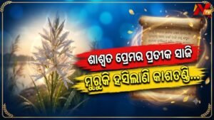 ଶରତର ଆଗମନ ଏବଂ କାଶତଣ୍ଡିର ଶୁଭ୍ର ସୌନ୍ଦର୍ଯ୍ୟ: ପ୍ରକୃତିର ଉପହାର ସାଙ୍ଗେ ଏକ ଶାଶ୍ୱତ ପ୍ରେମର ପ୍ରତୀକ