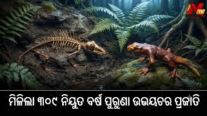 ୩୦୯ ନିୟୁତ ବର୍ଷ ପୁରୁଣା ଜୀବାଶ୍ମରୁ ଆବିଷ୍କାର ହେଲା ପ୍ରାଚୀନ ଉଭୟଚର ପ୍ରଜାତି ‘ଜିନରପେଟନ୍ ମାଜୋନେସିସ୍’
